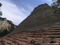 Zion National Park Picture - Checkerboard Mesa