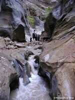 Zion National Park Picture - Orderville Canyon