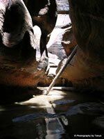 Zion National Park Picture - Zion's Subway