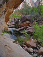 Zion National Park Picture - Pine Creek