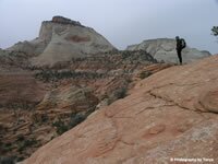 Zion National Park Picture - Progeny Peak