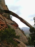 Zion National Park - Crawford Arch