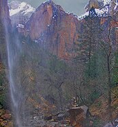 Zion National Park Picture - Emerald Pool