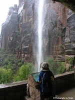 Zion National Park Picture - Weeping Rock