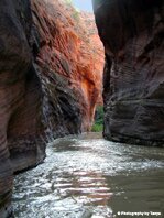 Zion National Park Picture - Parunuweap