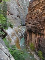Zion National Park Picture - Zion Narrows
