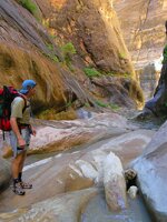 Zion National Park Picture - Orderville Canyon