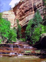 Zion National Park Picture - Left Fork North Creek