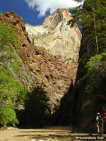 Zion National Park Picture - Zion Narrows