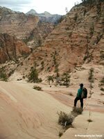 Zion National Park Picture - East Zion