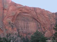 Zion National Park Picture - Kolob Arch