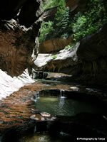 Zion National Park Picture - Zion's Subway