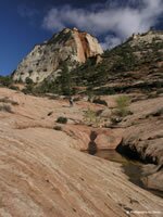 Zion National Park Picture - Many Pools