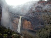 Zion National Park Picture - Weeping Rock