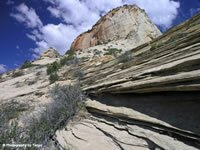 Zion National Park Picture