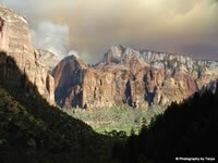 Zion National Park Picture