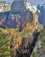 Zion National Park Picture