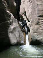 Zion National Park Picture - Kolob Creek