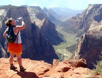 Zion National Park Picture - Observation Point