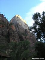 Zion National Park Picture - Great White Throne