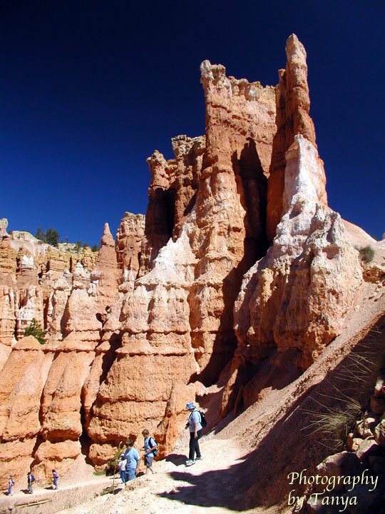 Queens Garden Photo in Bryce Canyon