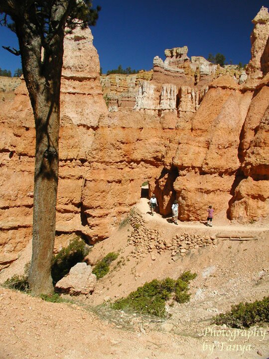 Queens Garden Photo in Bryce Canyon