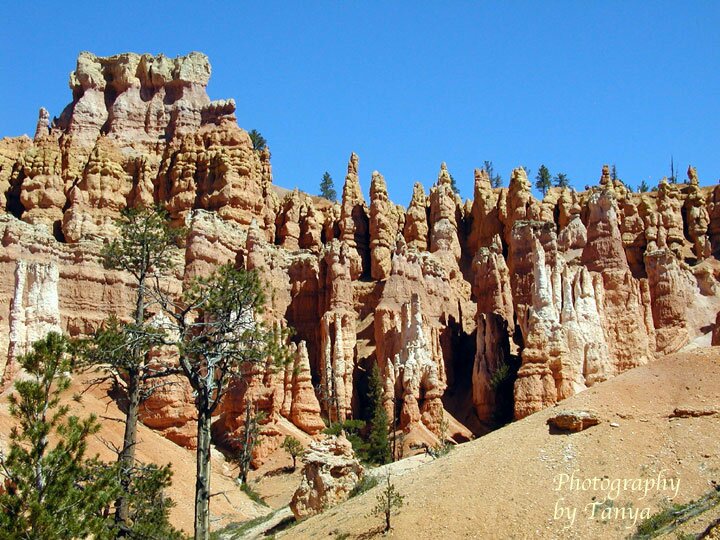 Queens Garden Photo in Bryce Canyon