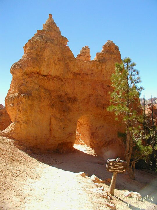 Queens Garden Photo in Bryce Canyon