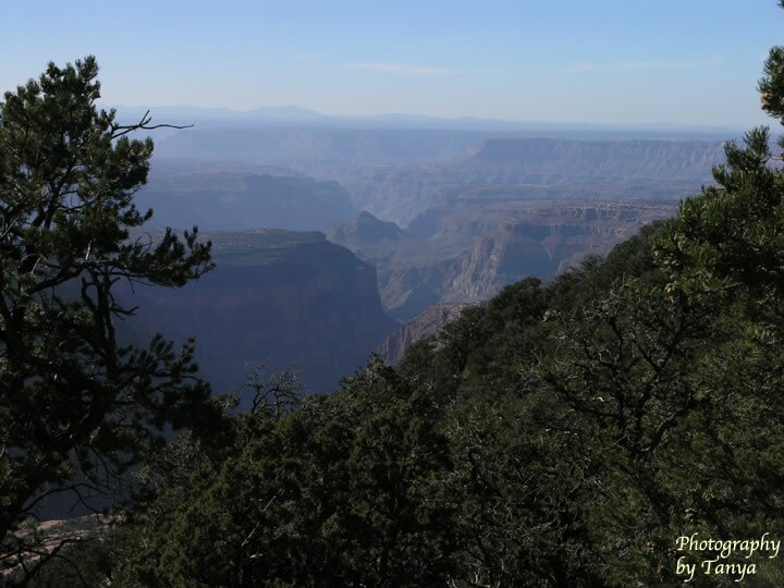 Timp Point photo Grand Canyon