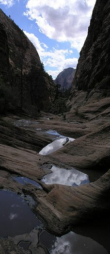 Zion's Behunin Canyon