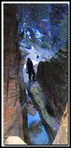 Zion's Cascading Falls