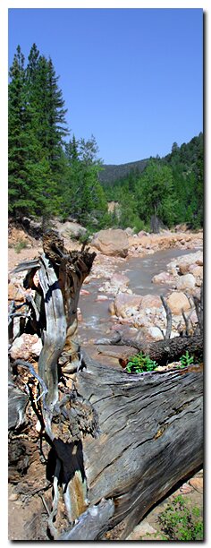 Cedar Breaks Bottom