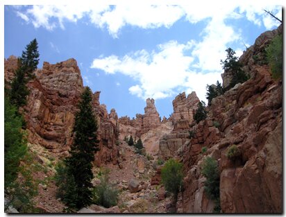 Cedar Breaks Bottom