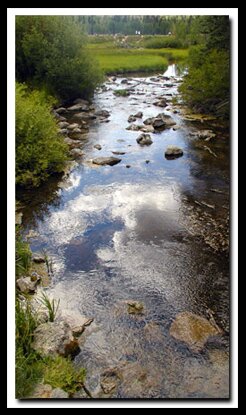 Fishing: Cedar Mountain