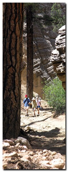 Lick Wash: Grand Staircase National Monument
