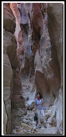 Mineral Gulch