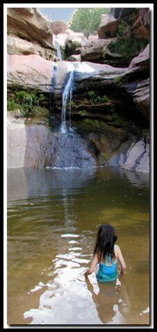 Zion's Pine Creek