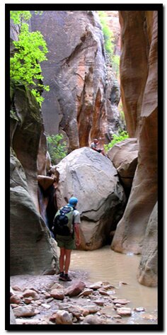 Zion's Orderville Canyon