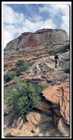 Zion's East Temple