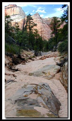 Zion's Gifford Canyon