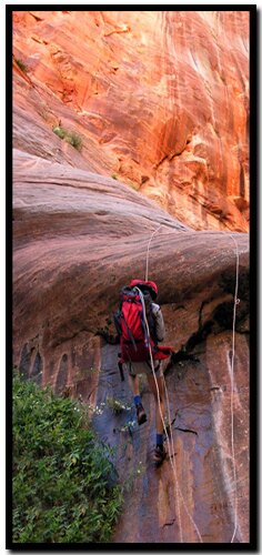 Zion's Ice Box Canyon