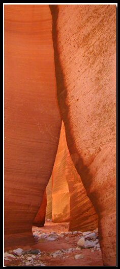 Red Canyon 