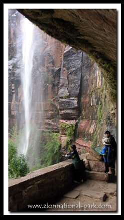 Zion's Weeping Rock Trail