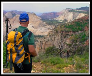 Zion's West Rim